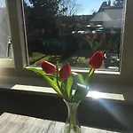 B & B Villa Suisse
