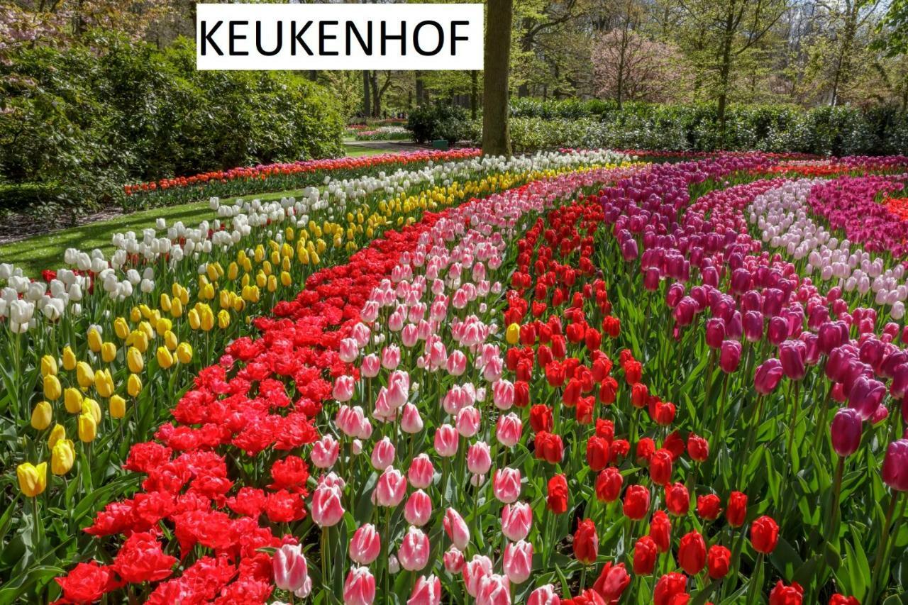 Suisse Frühstückspension